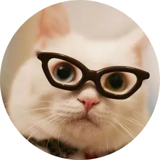 Subtitlecat