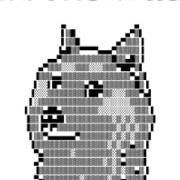 The Long Doge Challenge