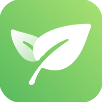 Xinbang Bean Sprouts
